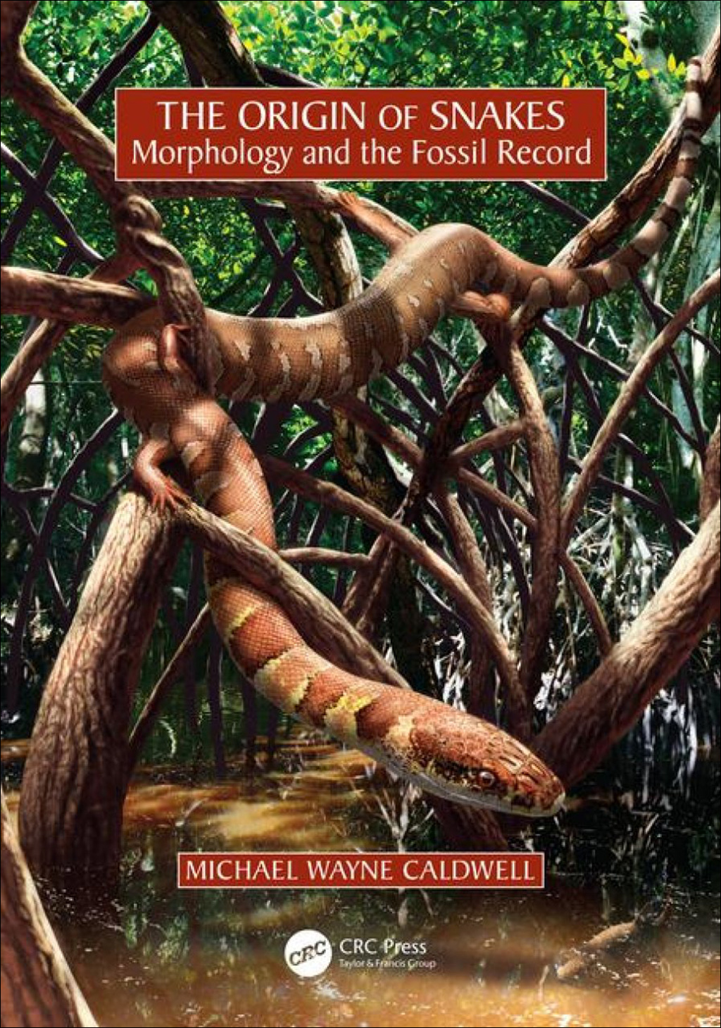 THE ORIGIN OF SNAKES: MORPHOLOGY AND THE FOSSIL RECORD 1