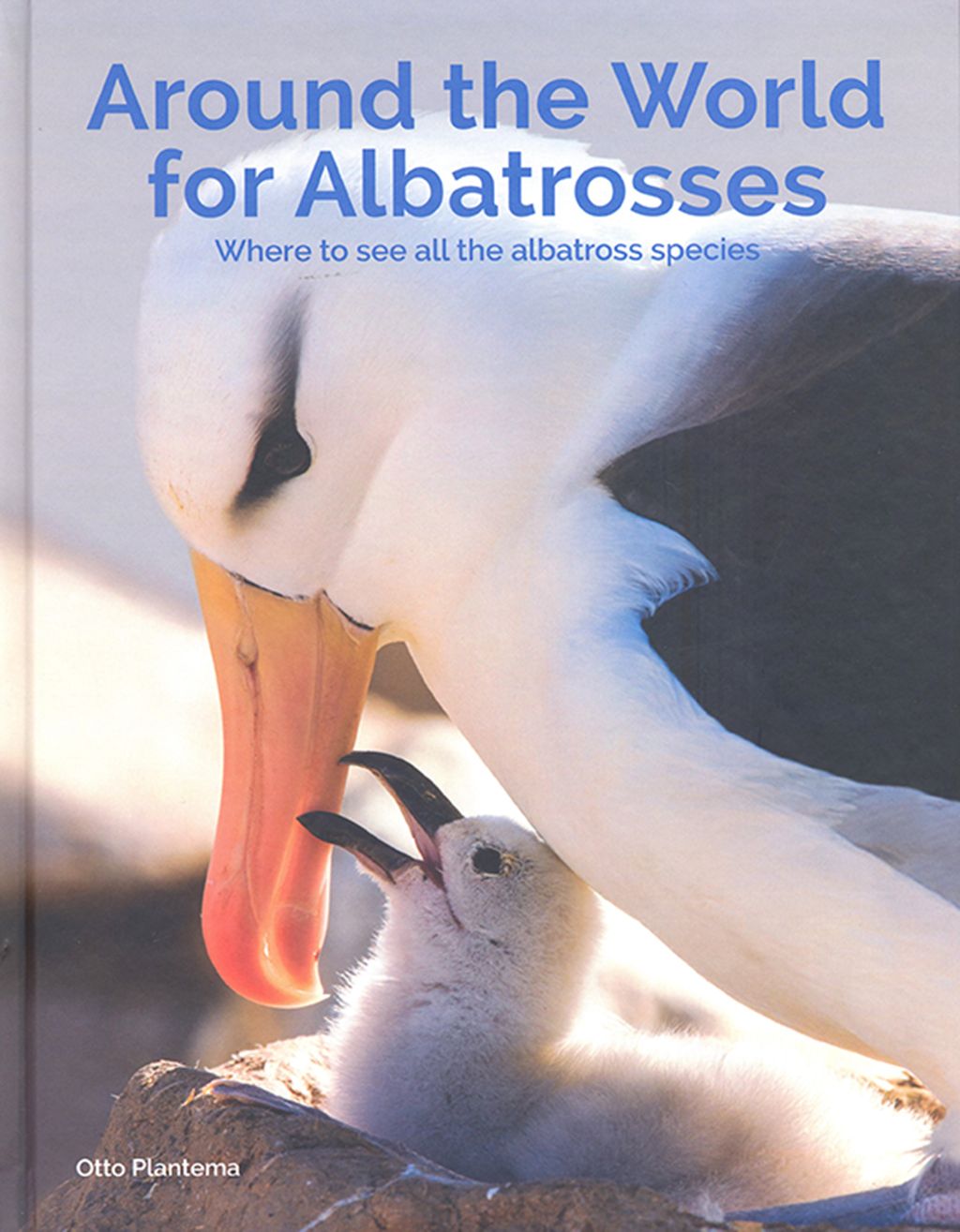 AROUND THE WORLD FOR ALBATROSSES. WHERE TO SEE ALL THE ALBATROSS SPECIES 1