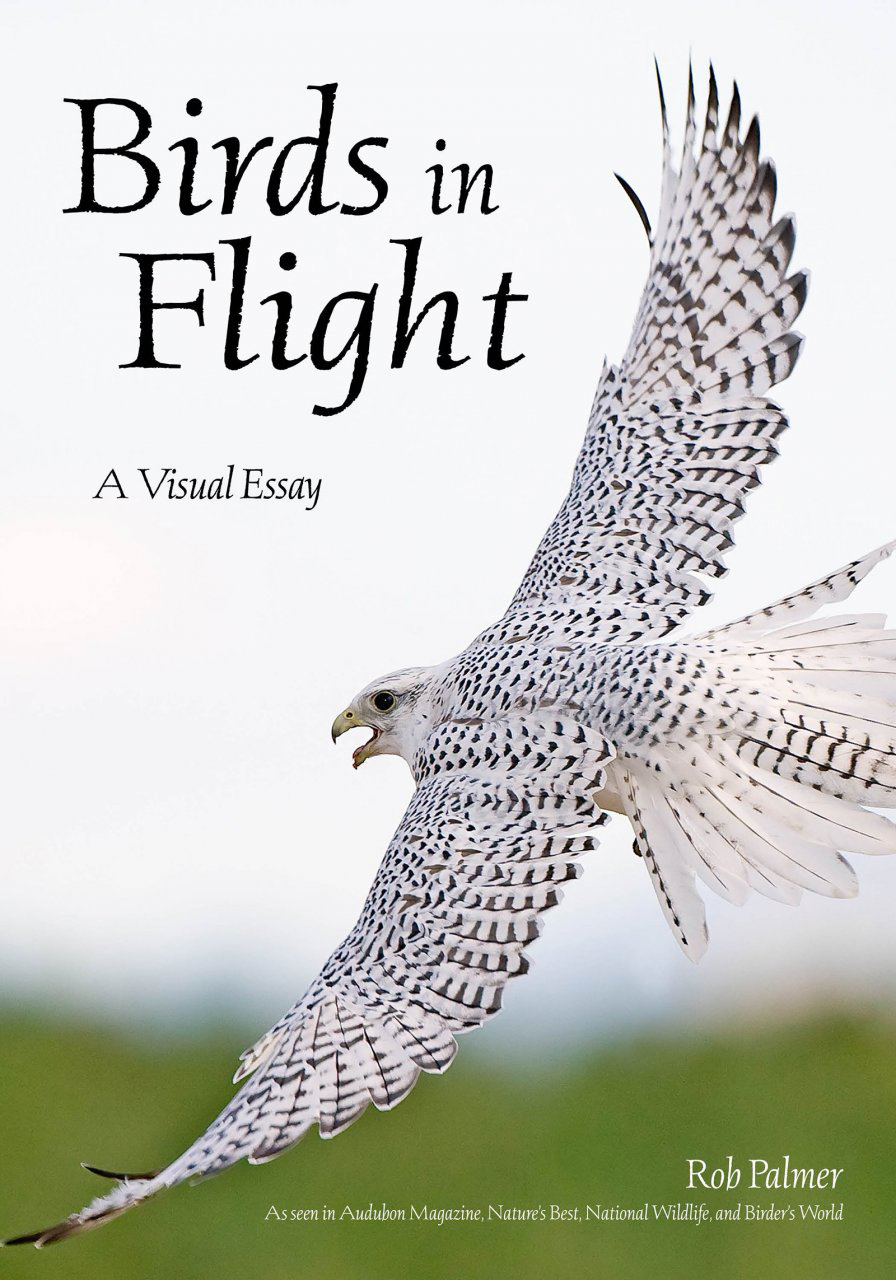 BIRDS IN FLIGHT. A PHOTOGRAPHIC ESSAY OF HAWKS, DUCKS, EAGLES, OWLS, HUMMINGBIRDS, AND MORE 1