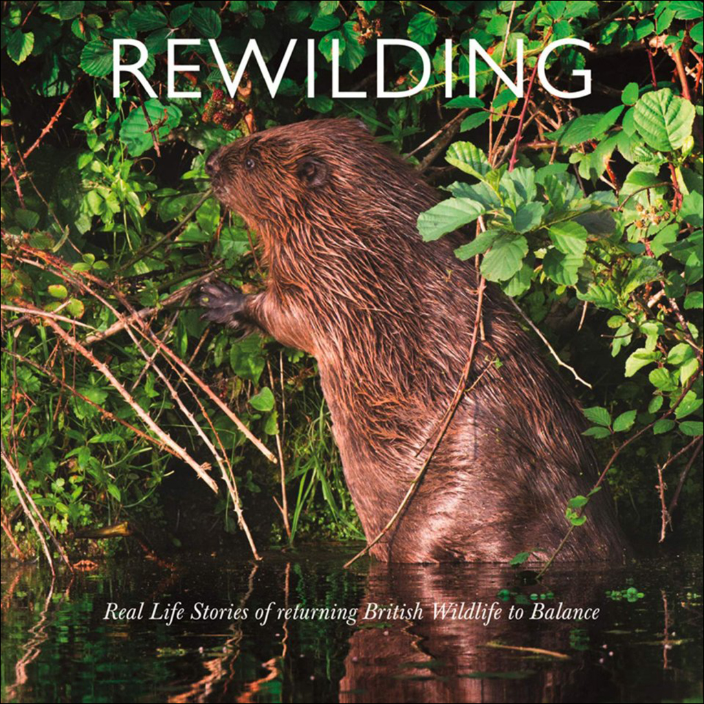 REWILDING: REAL LIFE STORIES OF RETURNING BRITISH AND IRISH WILDLIFE TO BALANCE 1