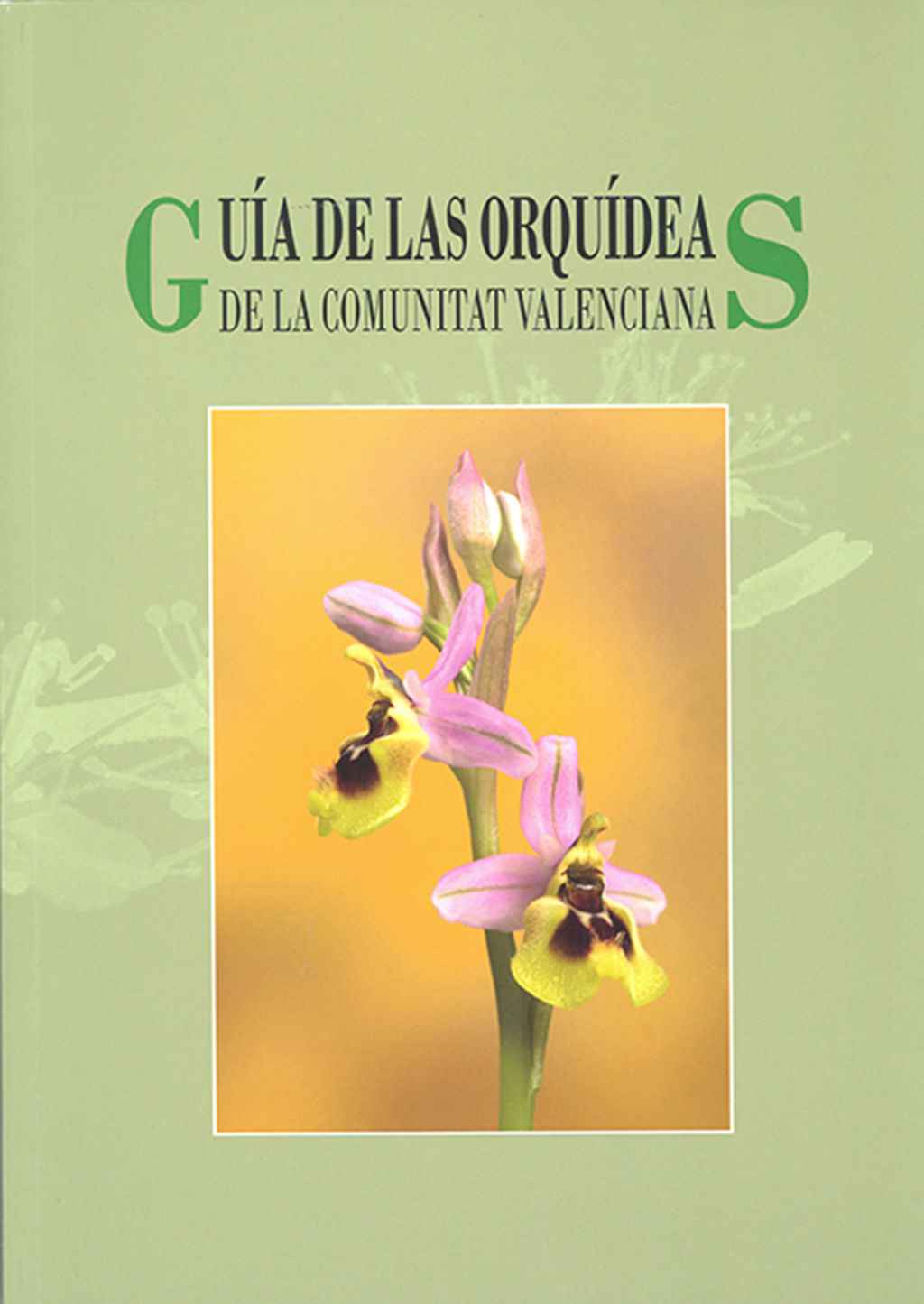 GUÍA DE LAS ORQUÍDEAS DE LA COMUNITAT VALENCIANA 1