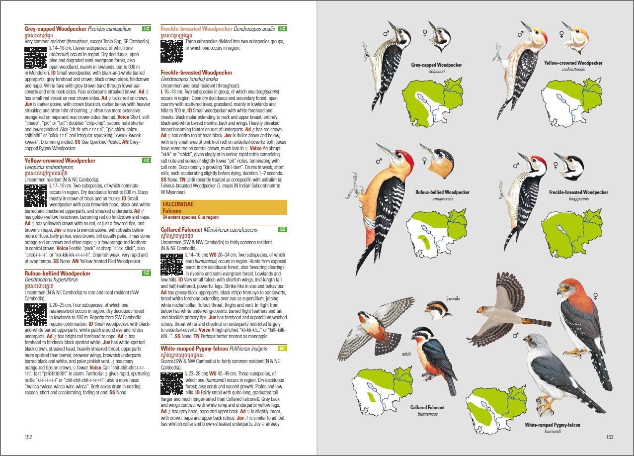 BIRDS OF CAMBODIA 4