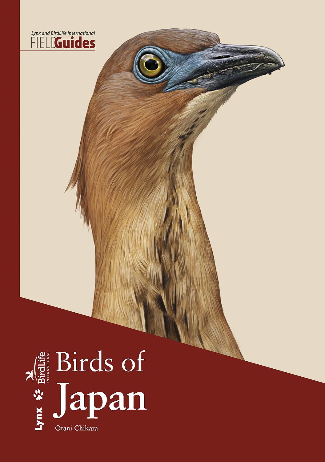 BIRDS OF JAPAN 1