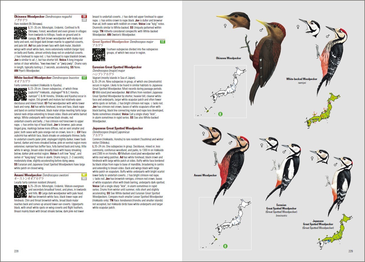 BIRDS OF JAPAN 2