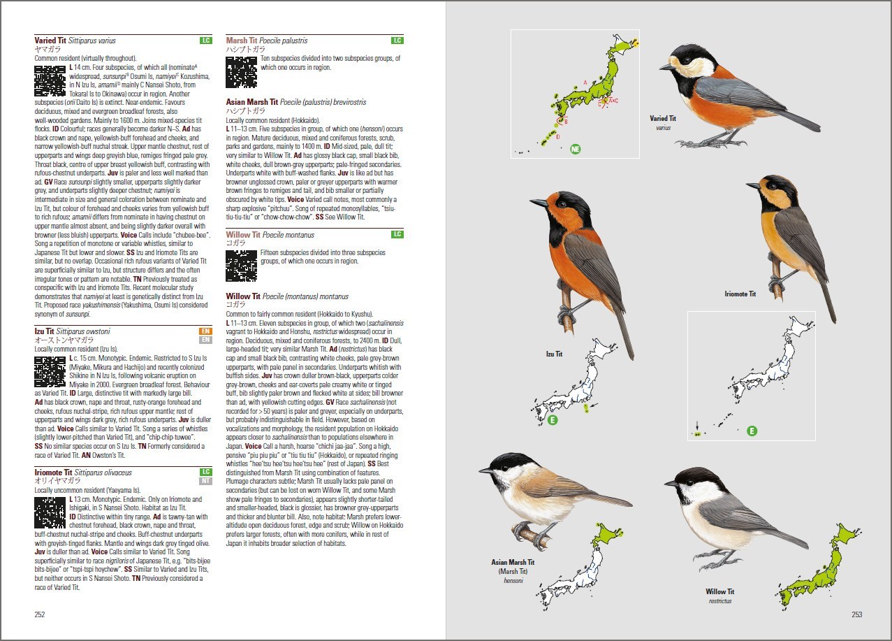 BIRDS OF JAPAN 3