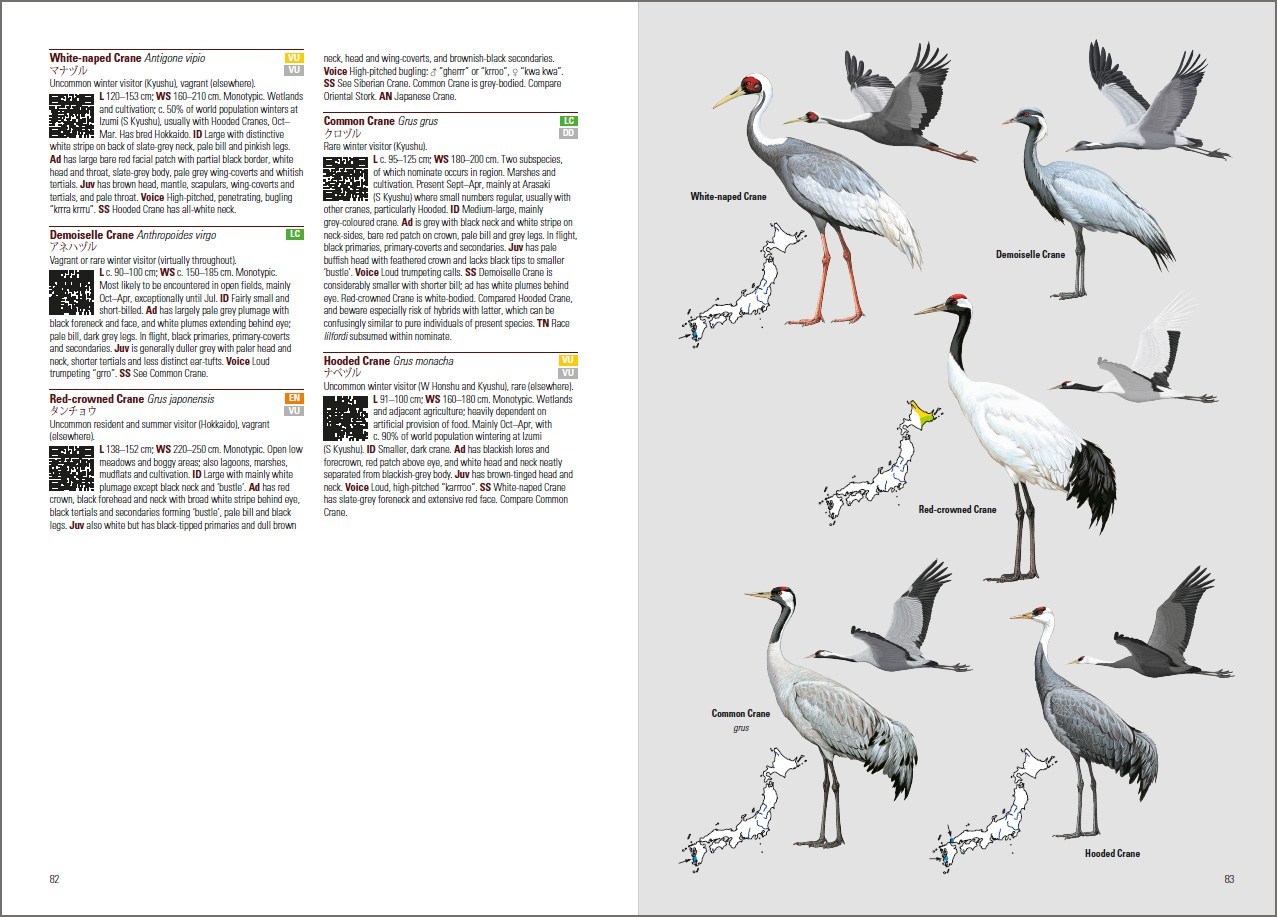BIRDS OF JAPAN 4