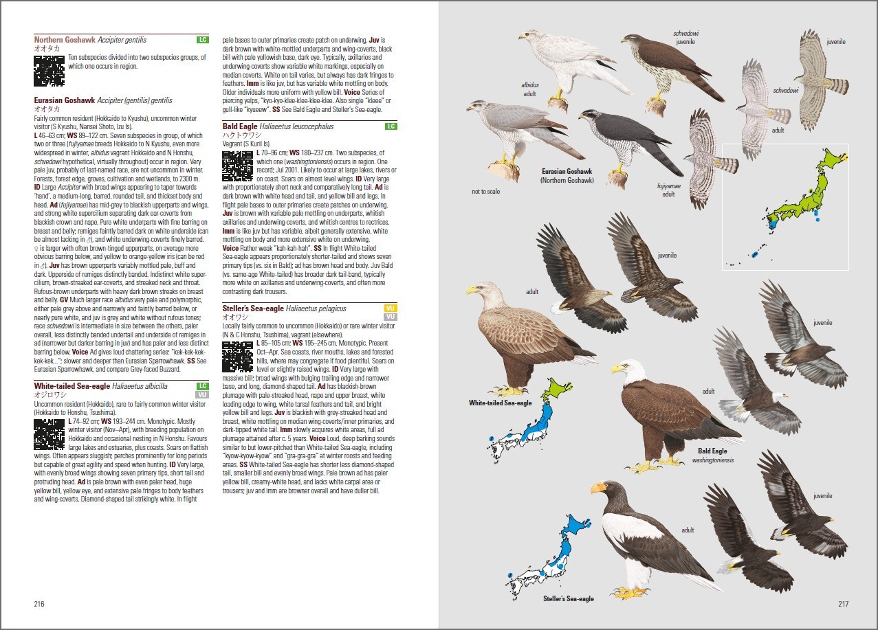 BIRDS OF JAPAN 5
