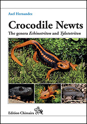 CROCODILE NEWTS 1