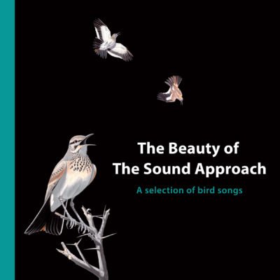 THE BEAUTY OF THE SOUND APPROACH 1