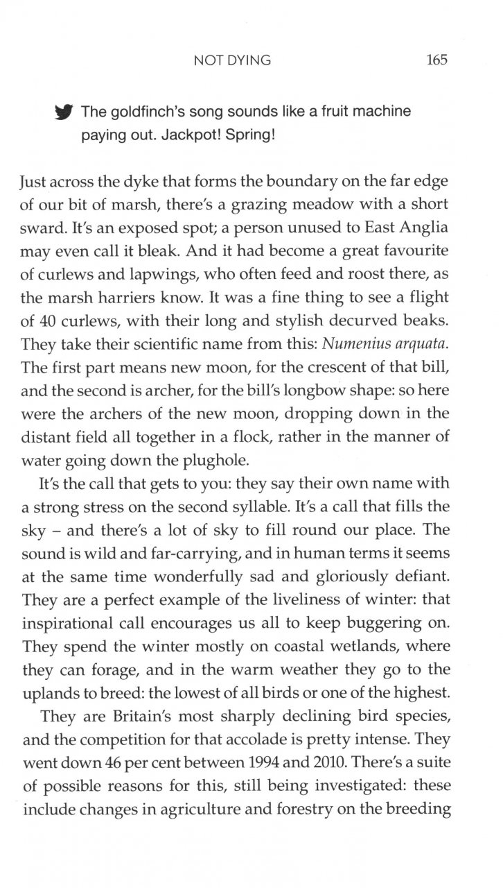ON THE MARSH: A YEAR SURROUNDED BY WILDNESS AND WET 4