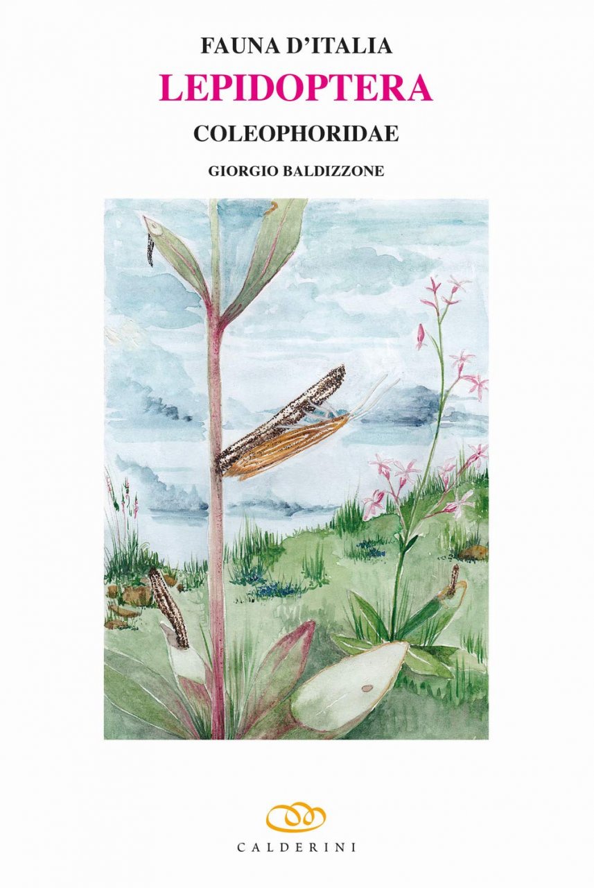 FAUNA D'ITALIA. LEPIDOPTERA, COLEOPHORIDAE VOL. LIII 1