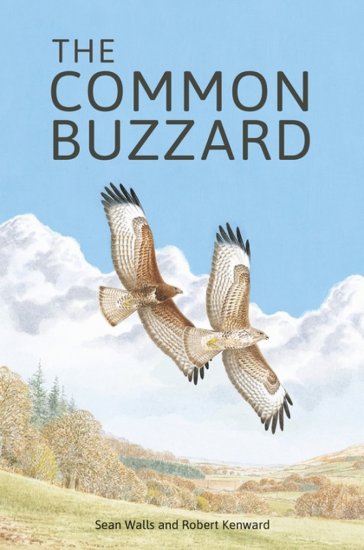 THE COMMON BUZZARD 1