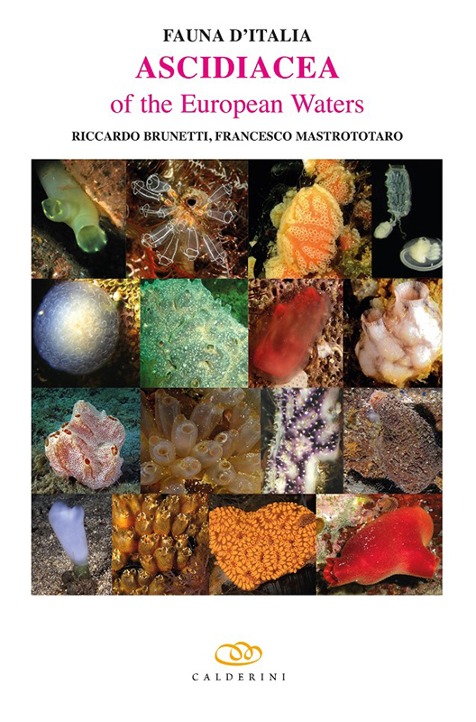 FAUNA D'ITALIA, ASCIDIACEA OF THE EUROPEAN WATERS 1
