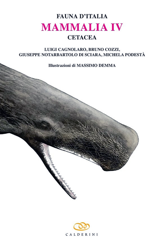 FAUNA D'ITALIA. MAMMALIA IV, CETACEA VOL. XLIX 1