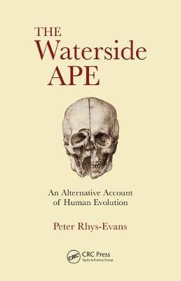 THE WATERSIDE APE: AN ALTERNATIVE ACCOUNT OF HUMAN EVOLUTION 1