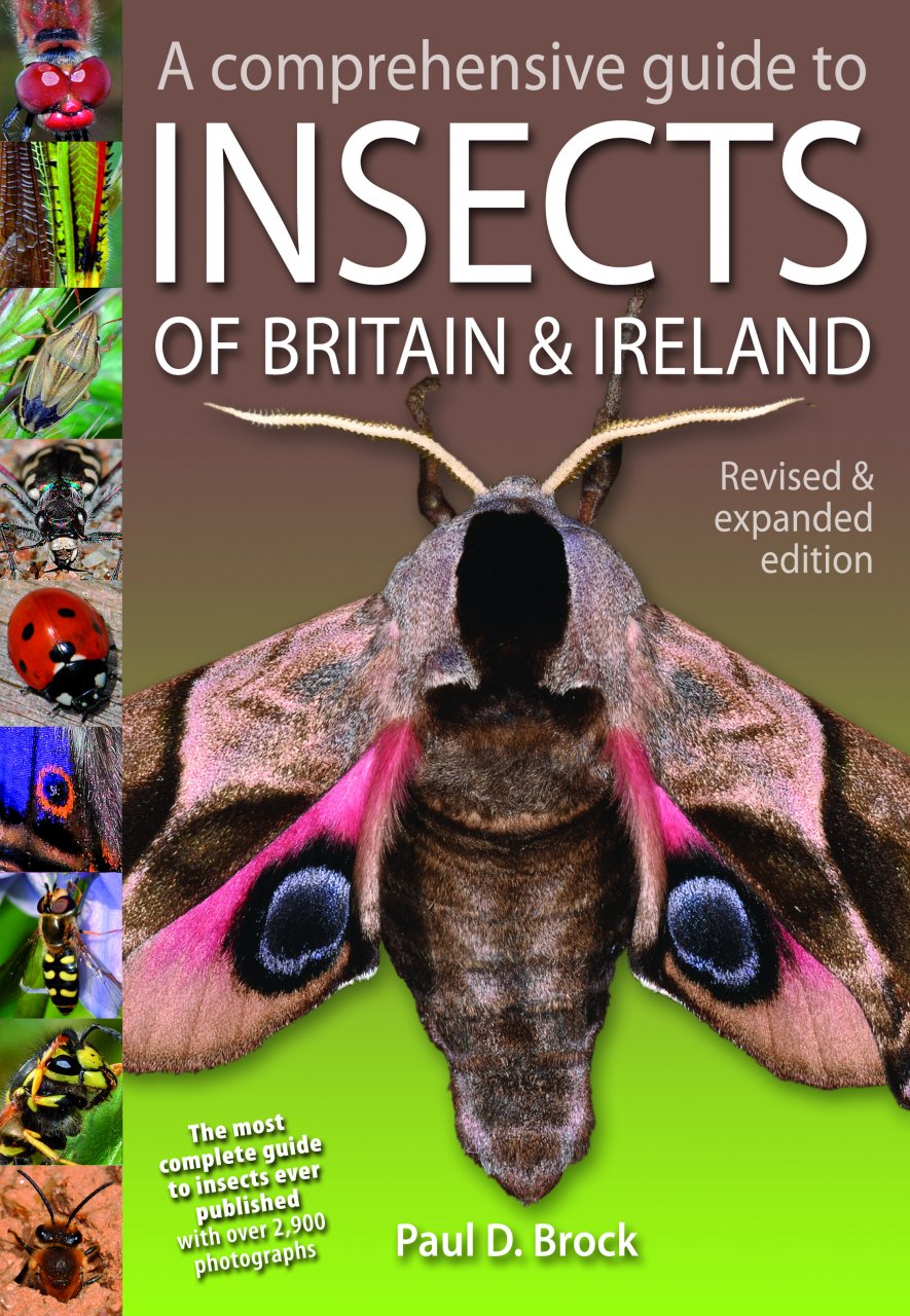 A COMPREHENSIVE GUIDE TO INSECTS OF BRITAIN AND IRELAND 1