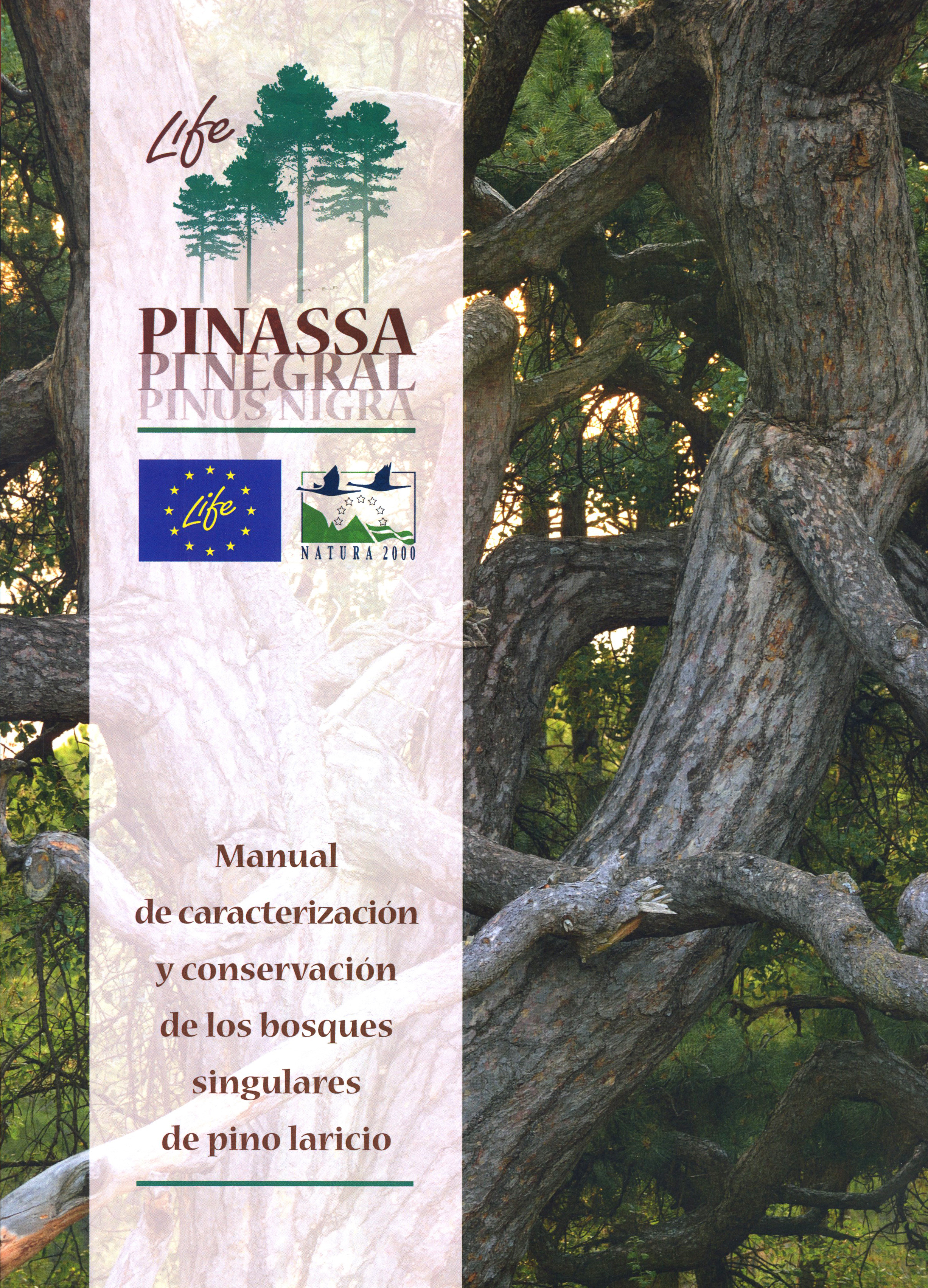 MANUAL DE CARACTERIZACIÓN Y CONSERVACIÓN DE LOS BOSQUES SINGULARES DE PINO LARICIO 1