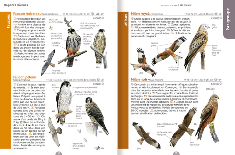 LE GUIDE NATURE. LES OISEAUX 3
