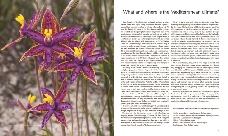 FLORA OF THE MEDITERRANEAN. WITH CALIFORNIA, CHILE, AUSTRALIA &AMP; SOUTH AFRICA. AN ILLUSTRATED GUIDE 2