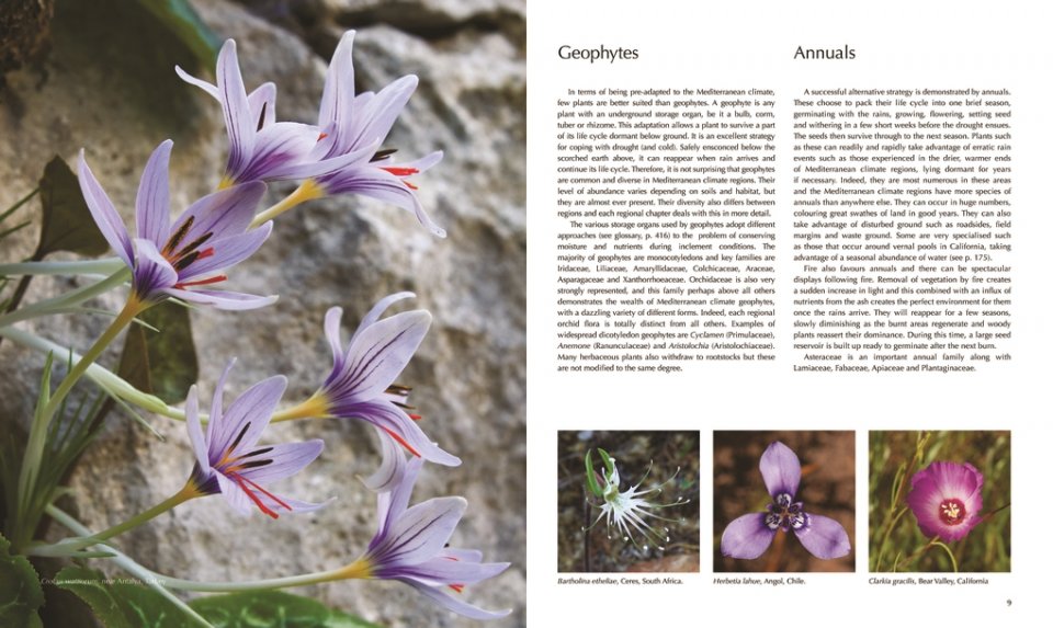 FLORA OF THE MEDITERRANEAN. WITH CALIFORNIA, CHILE, AUSTRALIA &AMP; SOUTH AFRICA. AN ILLUSTRATED GUIDE 3