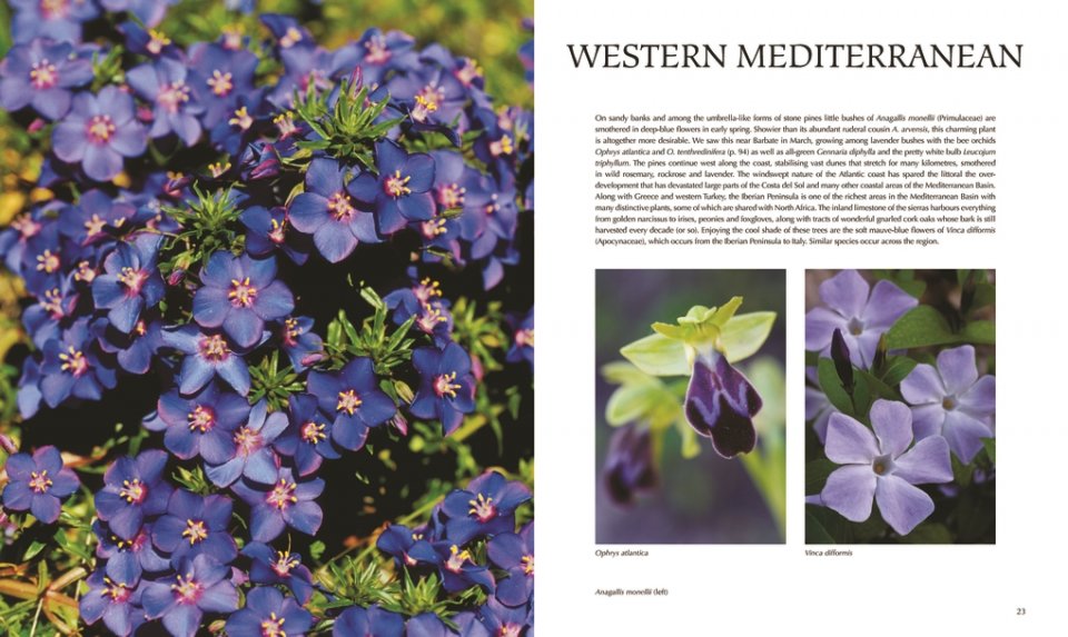 FLORA OF THE MEDITERRANEAN. WITH CALIFORNIA, CHILE, AUSTRALIA &AMP; SOUTH AFRICA. AN ILLUSTRATED GUIDE 4