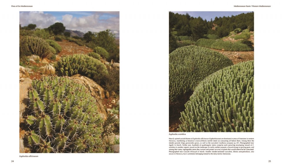 FLORA OF THE MEDITERRANEAN. WITH CALIFORNIA, CHILE, AUSTRALIA &AMP; SOUTH AFRICA. AN ILLUSTRATED GUIDE 5