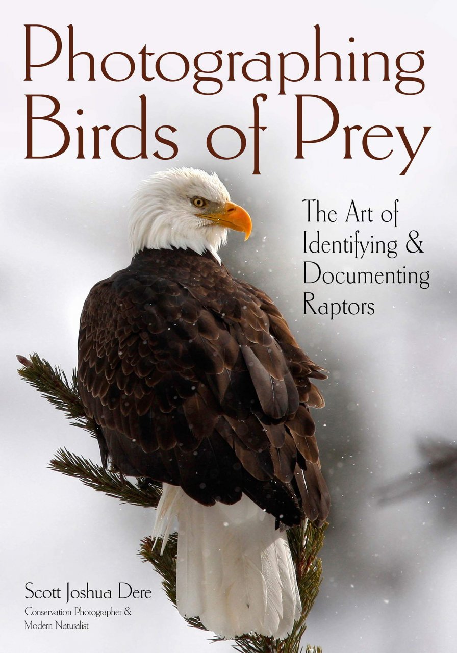 PHOTOGRAPHING BIRDS OF PREY. THE ART OF IDENTIFYING &AMP; DOCUMENTING RAPTORS 1