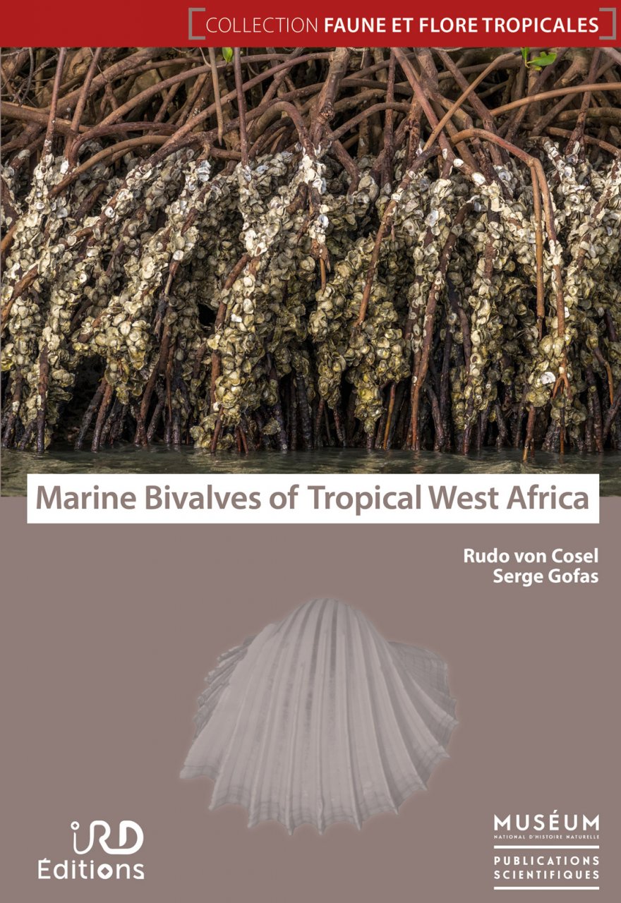 MARINE BIVALVES OF TROPICAL WEST AFRICA 1