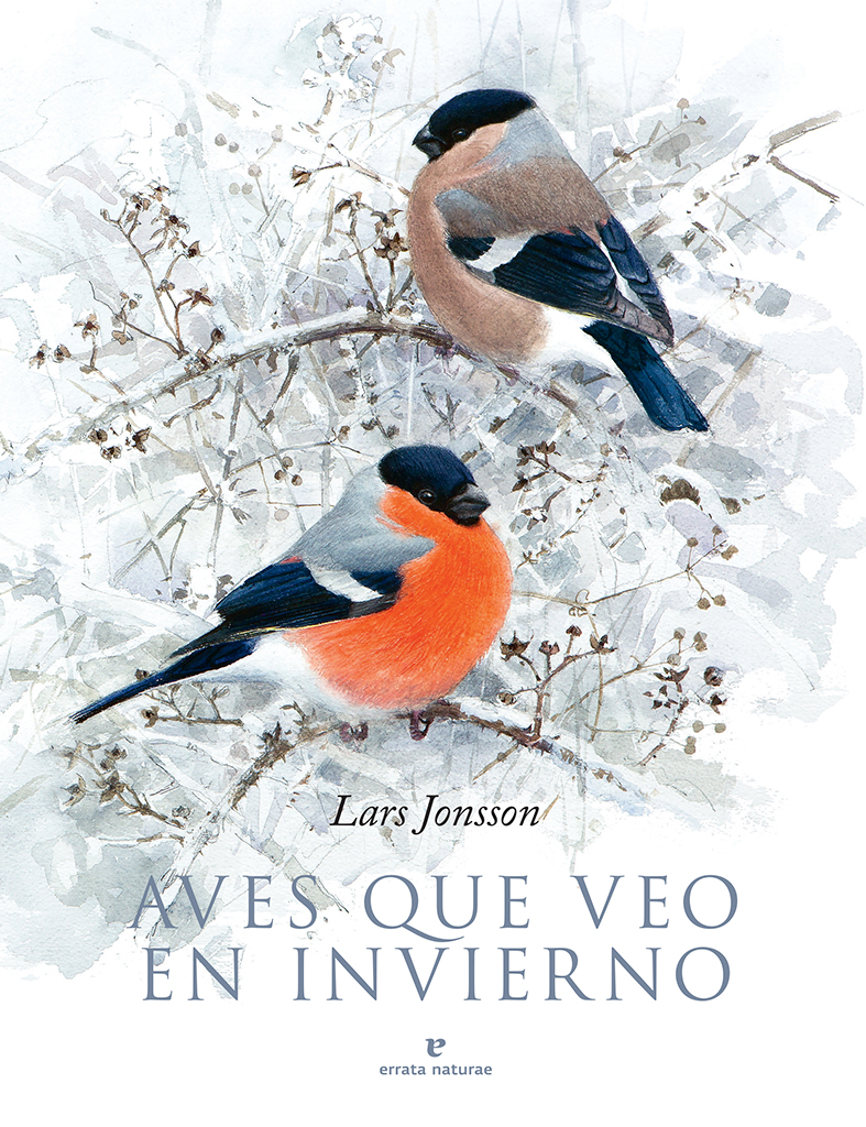AVES QUE VEO EN INVIERNO 1