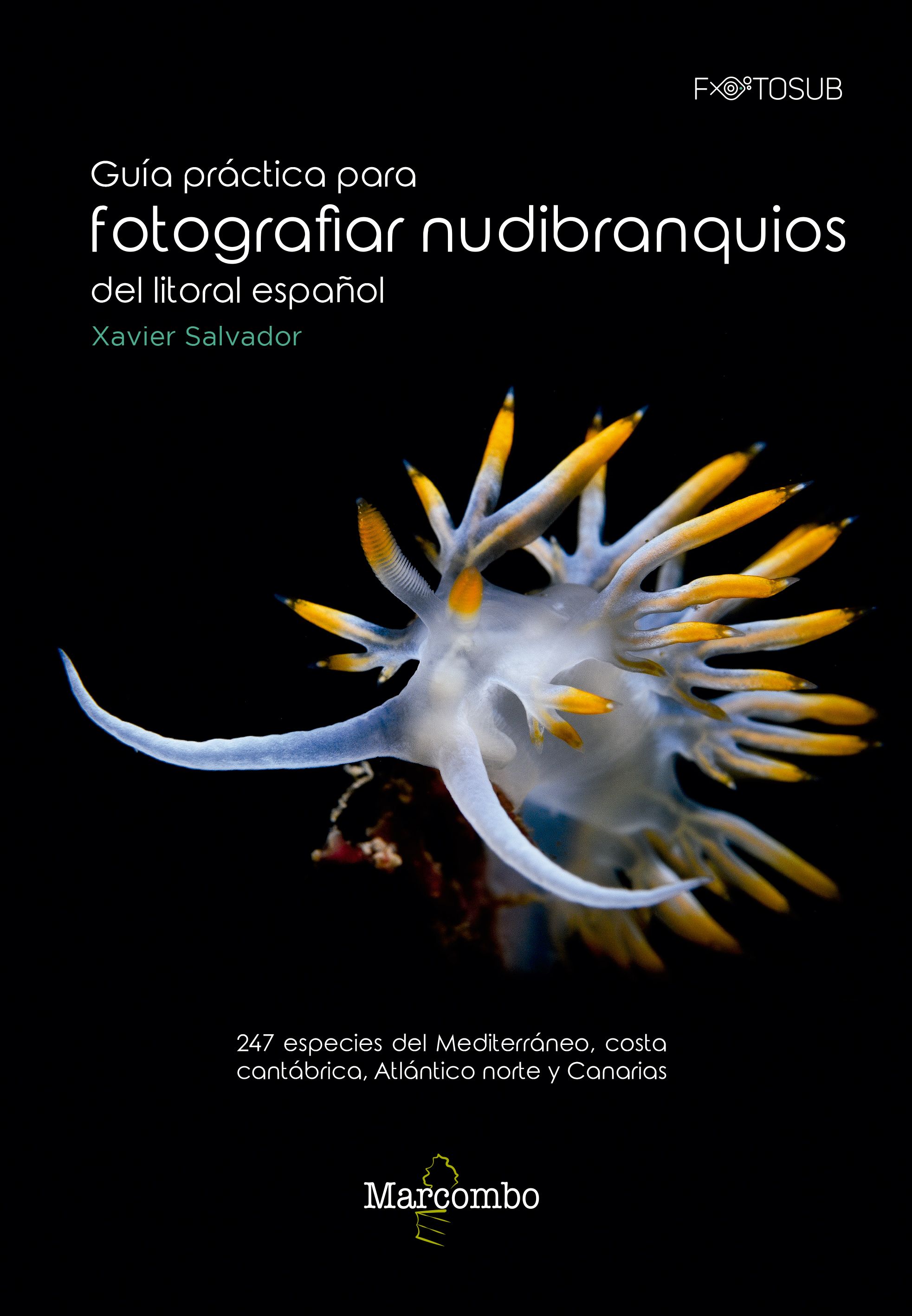GUÍA PRÁCTICA PARA FOTOGRAFIAR NUDIBRANQUIOS DEL LITORAL ESPAÑOL. 247 ESPECIES DEL MEDITERRÁNEO, COSTA CANTÁBRICA, ATLÁNTICO NORTE Y CANARIAS 1