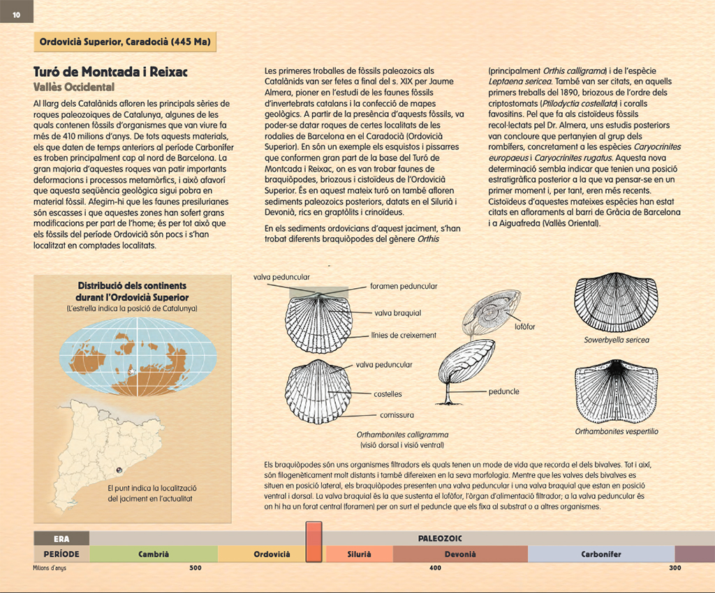 LA CATALUNYA PREHISTÒRICA EN 25 JACIMENTS PALEONTOLÒGICS 2