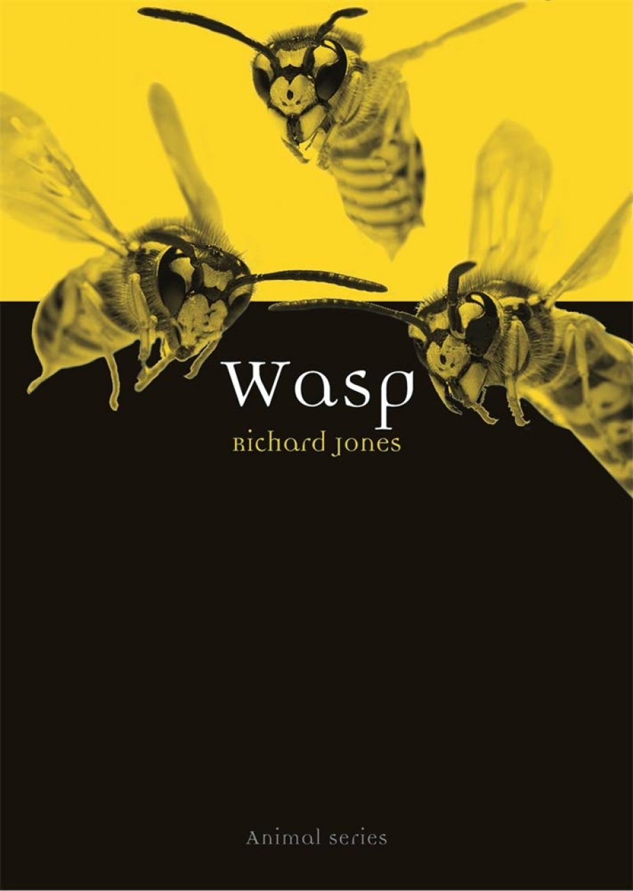 WASP 1