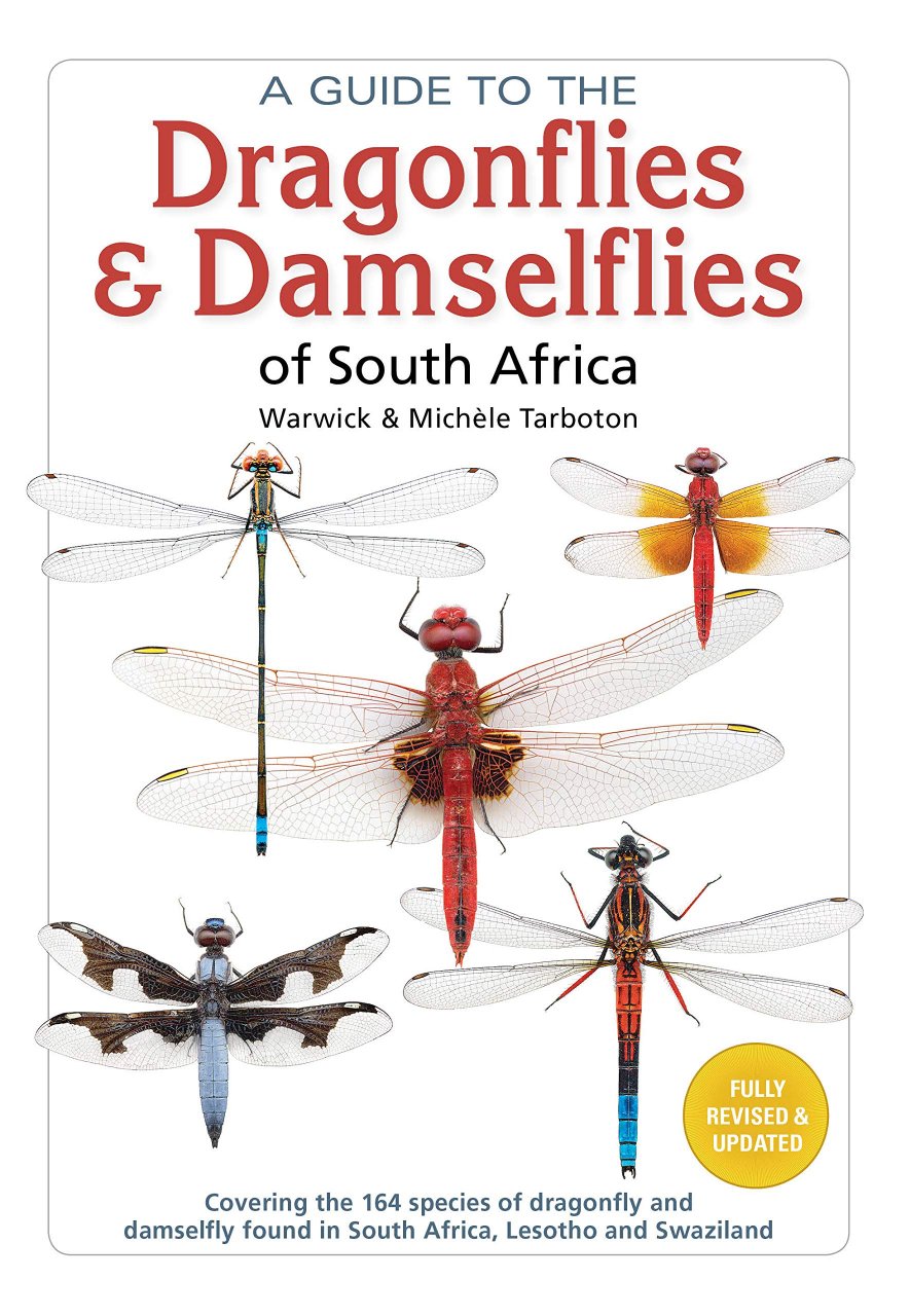 A GUIDE TO THE DRAGONFLIES AND DAMSELFLIES OF SOUTH AFRICA: COVERING THE 164 SPECIES OF DRAGONFLY AND DAMSELFLY FOUND IN SOUTH AFRICA, LESOTHO AND SWA 1