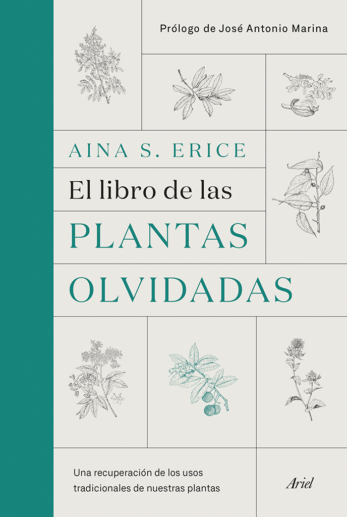 EL LIBRO DE LAS PLANTAS OLVIDADAS 1