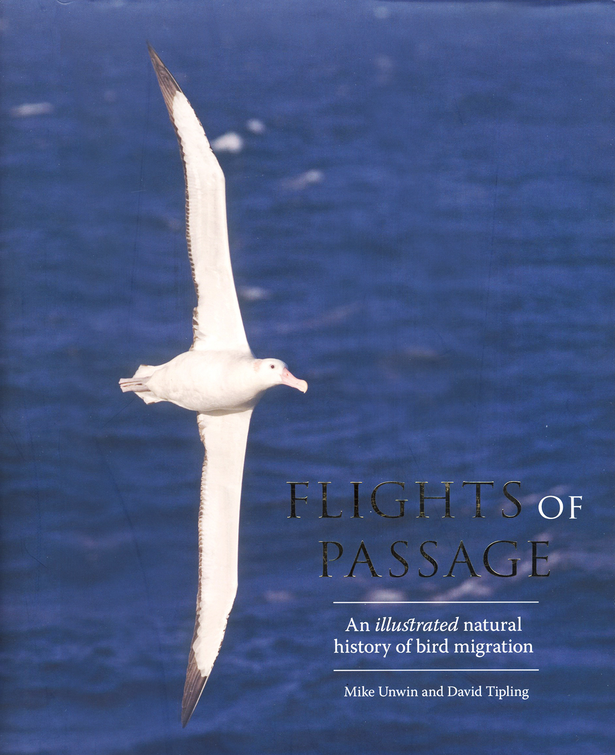 FLIGHTS OF PASSAGE 1