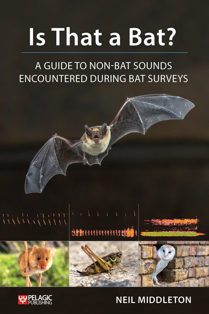 IS THAT A BAT?: A GUIDE TO NON-BAT SOUNDS ENCOUNTERED DURING BAT SURVEYS 1