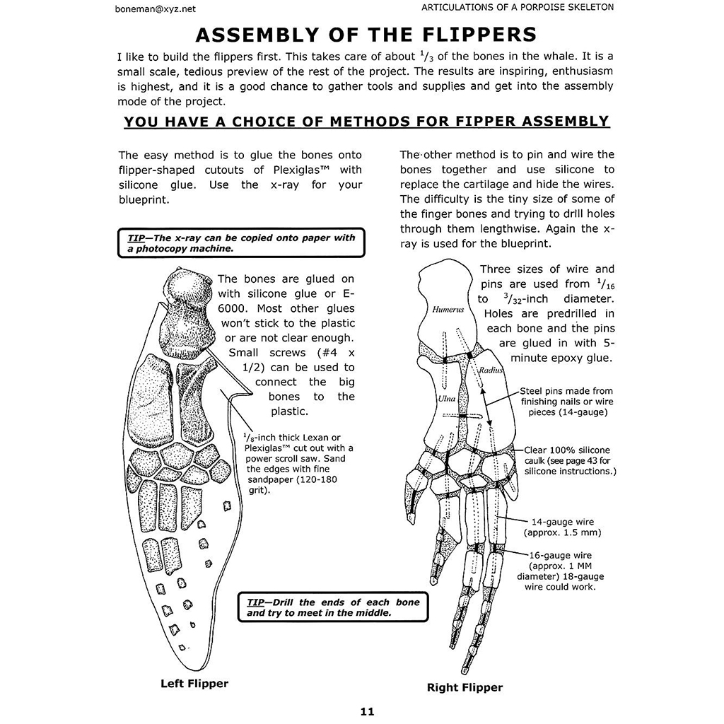 ARCTICULATIONS OF A PORPOISE SKELETON, VOL.1 3