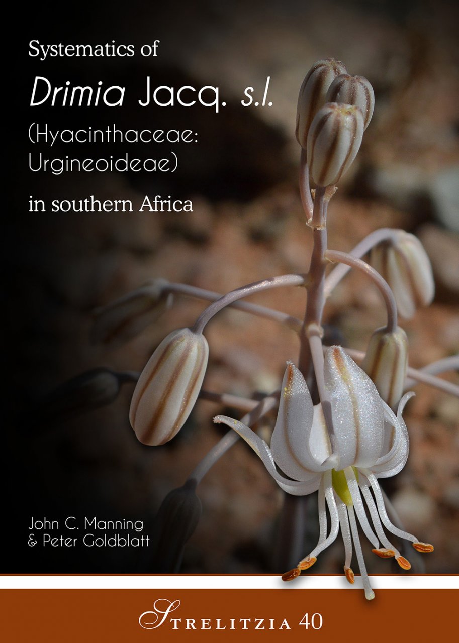 SYSTEMATICS OF DRIMIA, SL. (HYACINTHACEA: URGINEOIDEAE) OF SOUTHERN AFRICA 1
