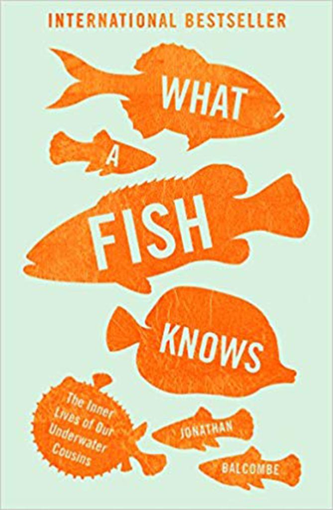 WHAT A FISH KNOWS 1