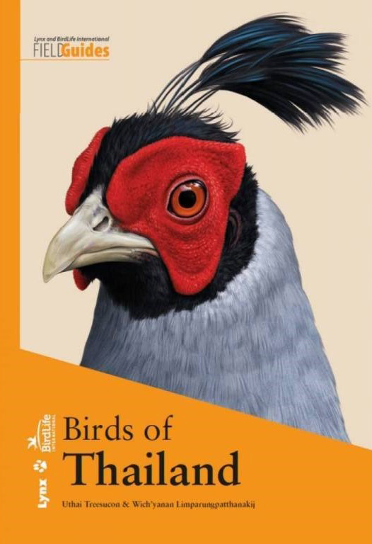 BIRDS OF THAILAND 1