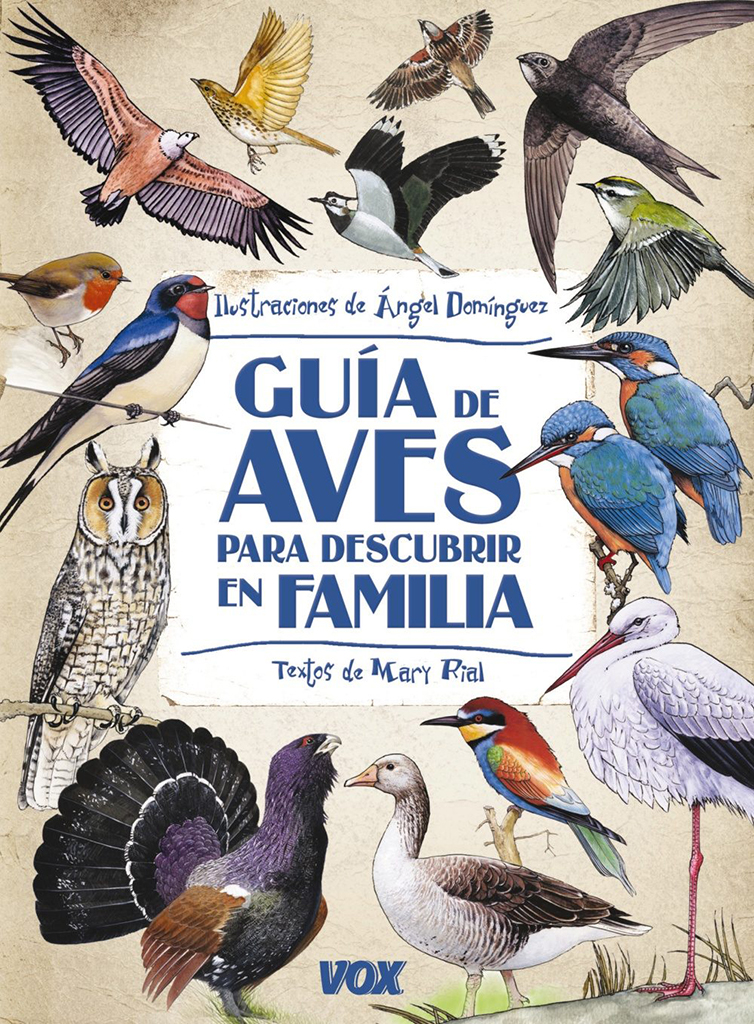 GUÍA DE AVES PARA DESCUBRIR EN FAMILIA 1