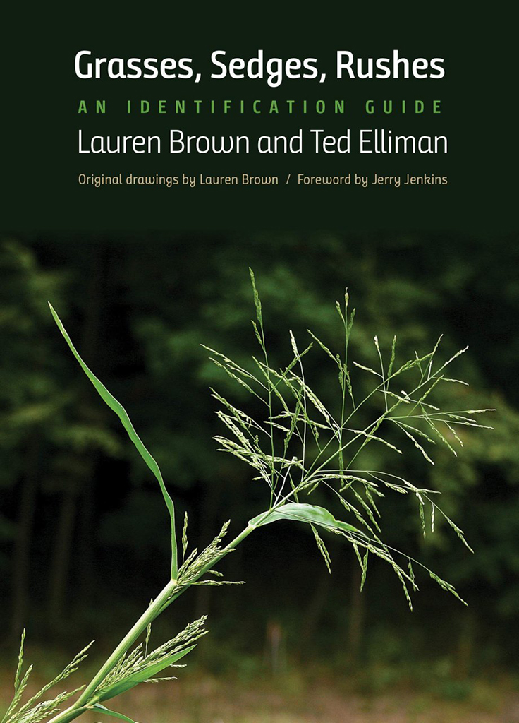 GRASSES, SEDGES, RUSHES: AN IDENTIFICATION GUIDE 1