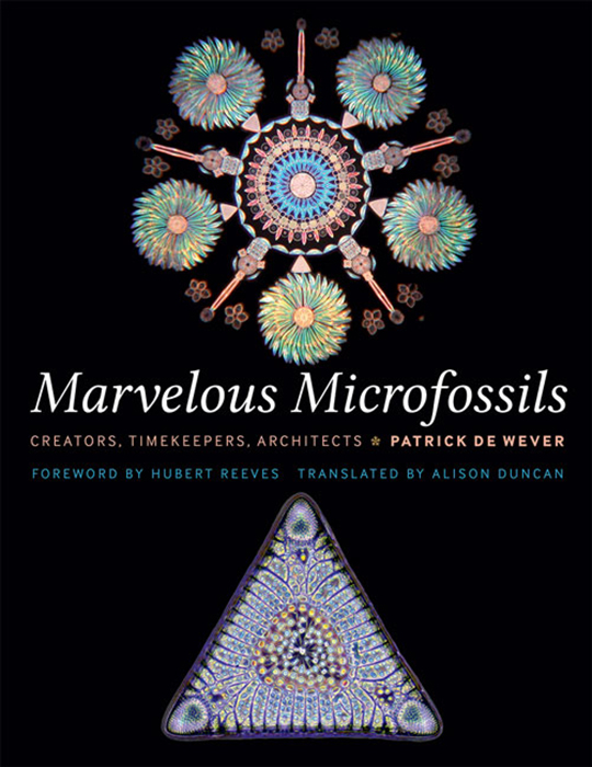 MARVELOUS MICROFOSSILS: CREATORS, TIMEKEEPERS, ARCHITECTS. 1