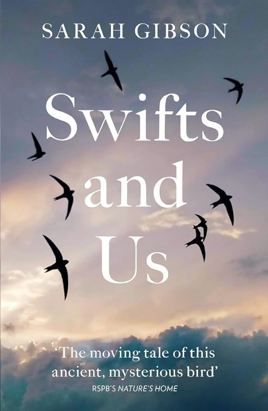 SWIFTS AND US. THE LIFE OF THE BIRD THAT SLEEPS IN THE SKY 1