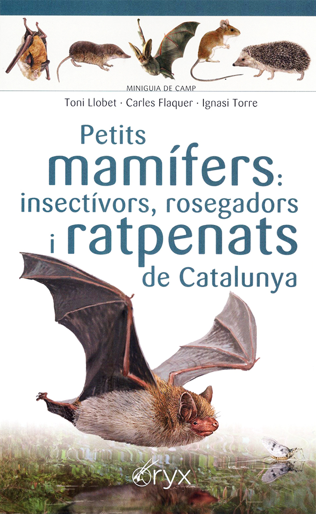 PETITS MAMÍFERS: INSECTÍVORS, ROSEGADORS I RATPENATS DE CATALUNYA. MINIGUIA DE CAMP 1