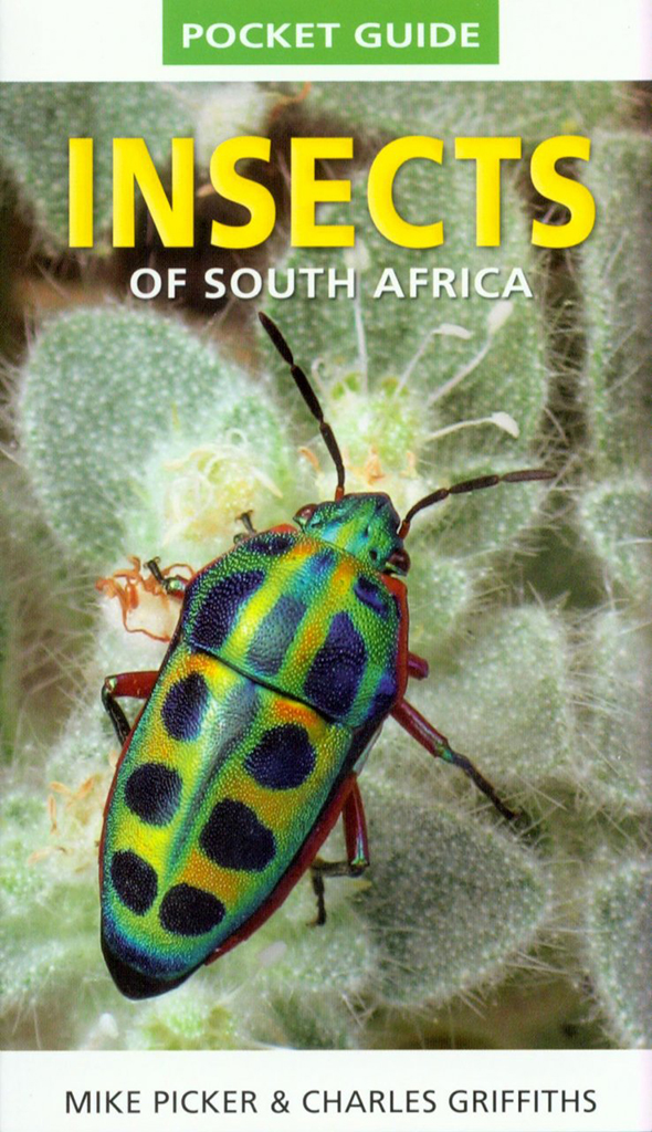 POCKET GUIDE INSECTS OF SOUTH AFRICA 1