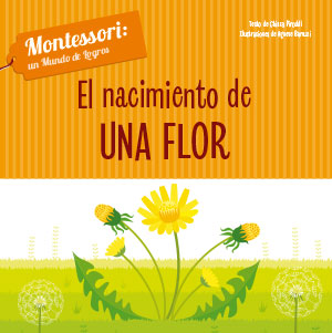EL NACIMIENTO DE UNA FLOR 1