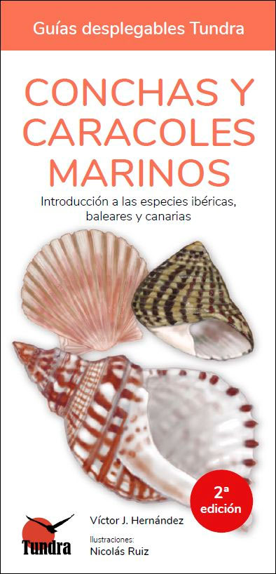 CONCHAS Y CARACOLES MARINOS. INTRODUCCIÓN A LAS ESPECIES IBÉRICAS, BALEARES Y CANARIAS. GUÍAS DESPLEGABLES TUNDRA 1