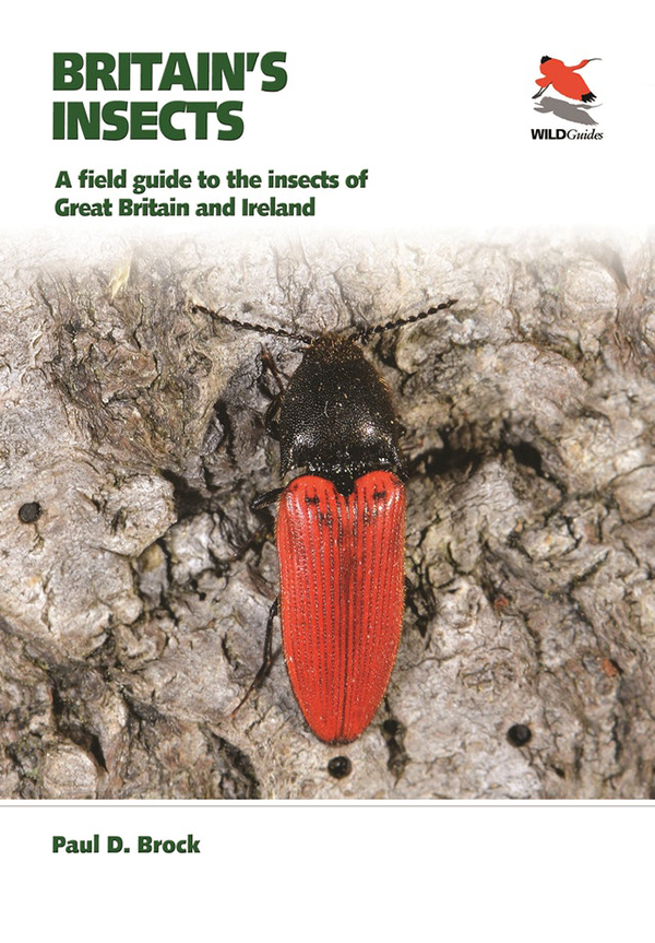 BRITAIN'S INSECTS. A FIELD GUIDE TO THE INSECTS OF GREAT BRITAIN AND IRELAND 1