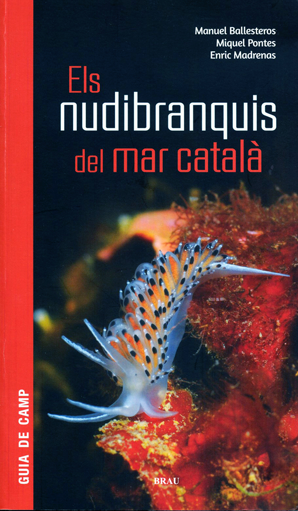 ELS NUDIBRANQUIS DEL MAR CATALÀ 1